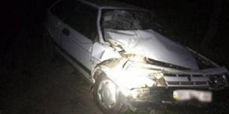 Во Львовской области грузовик травмировал 4 полицейских, оформлявших ДТП