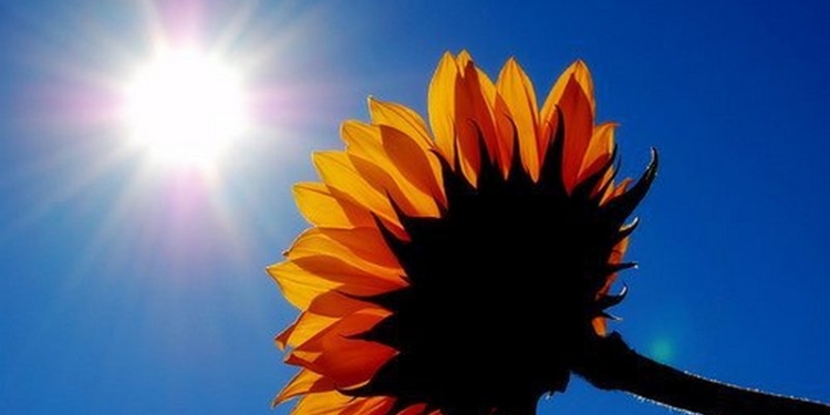 Сегодня в Украине ожидается похолодание