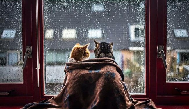 Погода на завтра: на большей территории Украины ожидаются дожди, температура до +28