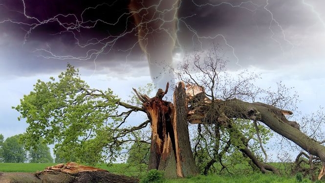 7 случаев, когда капризы погоды меняли ход мировой истории