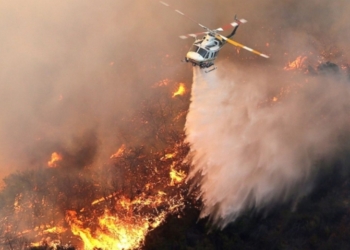 Площадь лесного пожара в Калифорнии увеличилась вдвое
