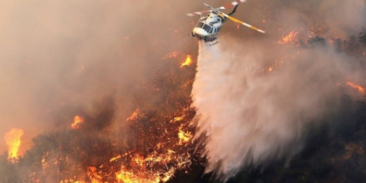 Площадь лесного пожара в Калифорнии увеличилась вдвое