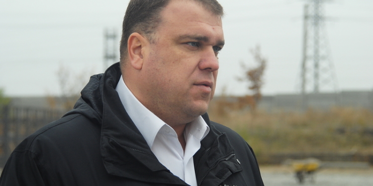 Николаевский мэр уволил директора «Центра защиты животных»