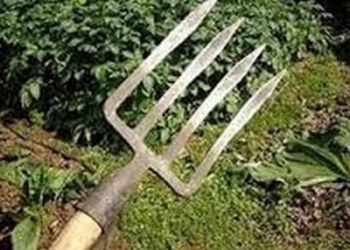 На Львовщине военный покончил жизнь самоубийством, насадив себя на вилы