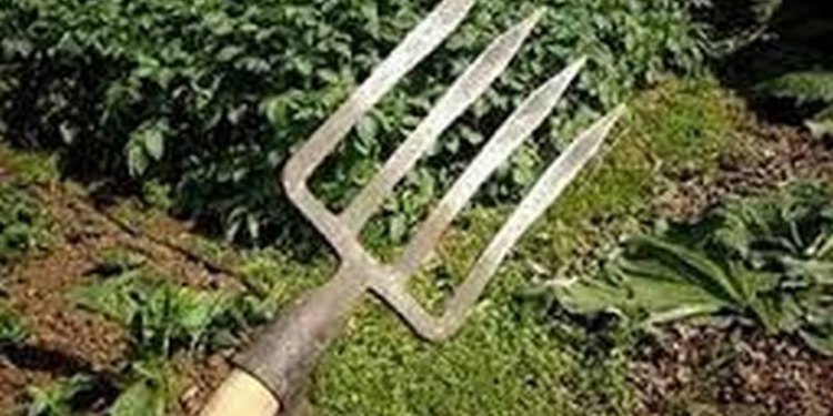 На Львовщине военный покончил жизнь самоубийством, насадив себя на вилы