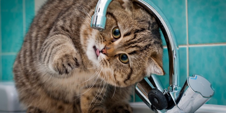 Подорожание электроэнергии приведёт к росту тарифа на холодную воду в среднем на 15%