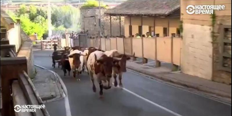 Фестиваль Сан-Фермин в Испании: опасные бега с быками