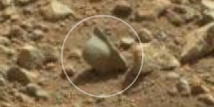 На Марсе нашли нацистскую каску времен Второй мировой