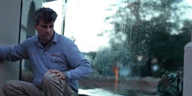 Не поворачивайтесь спиной к большим кошкам