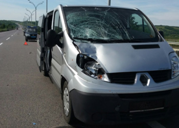 У Кривого Озера на смерть сбили молодого мужчину