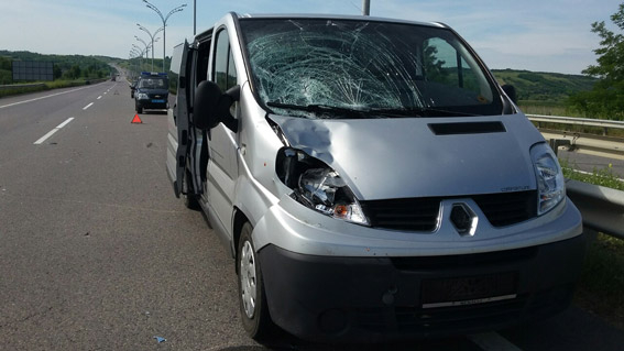 У Кривого Озера на смерть сбили молодого мужчину