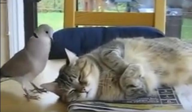 «Любовь зла – полюбишь и…»: у этой пары точно нет будущего