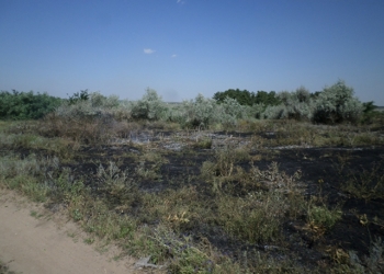 В Снигиревском районе пожар на несанкционированной свалке угрожал лесному урочищу «Павловское»