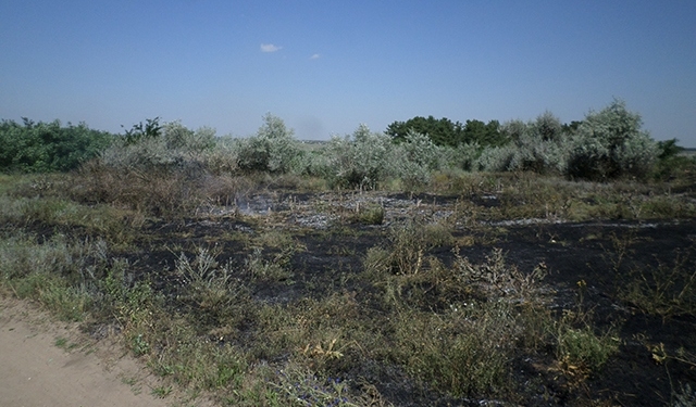 В Снигиревском районе пожар на несанкционированной свалке угрожал лесному урочищу «Павловское»