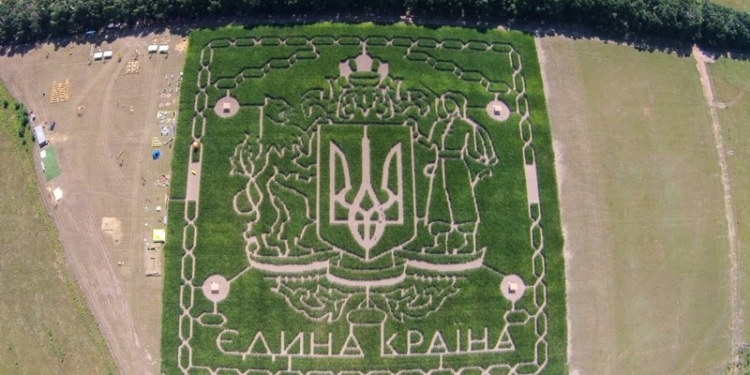 Под Киевом появился двухкилометровый кукурузный лабиринт