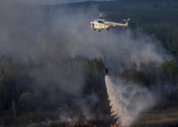 По факту пожара в Зоне отчуждения открыто уголовное производство