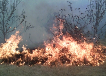 За сутки спасатели Николаевщины ликвидировали пожары на 14 га открытой территории