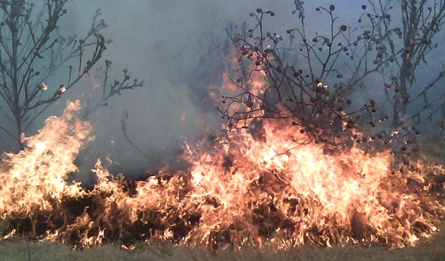 За сутки спасатели Николаевщины ликвидировали пожары на 14 га открытой территории