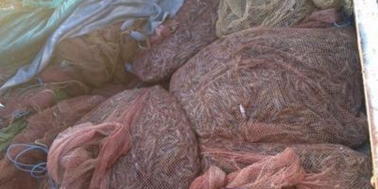 У Морского пограничники задержали жителей Николаевщины и Одещины, которые выловили креветок на 45 тыс.грн.