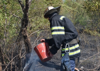 Снова в Николаеве на большой площади горела трава и мусор