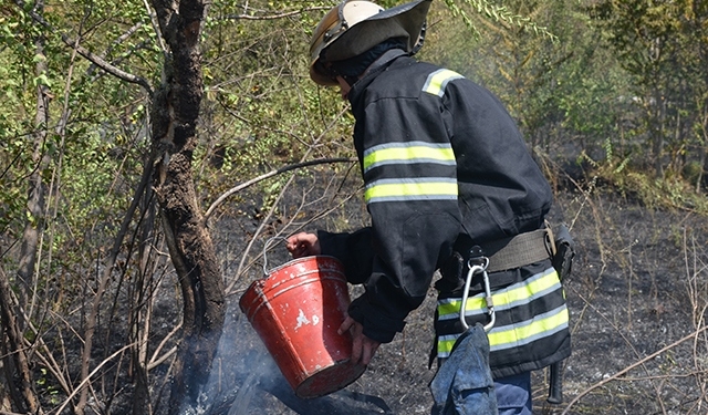 Снова в Николаеве на большой площади горела трава и мусор