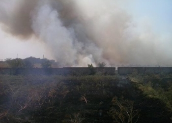 Снова горит трава: в Николаевской области огонь за трое суток «прошел» 33 га
