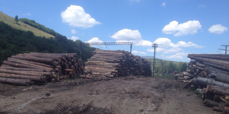 Луценко призвал прокуроров или остановить контрабанду леса, или научиться летать без парашюта