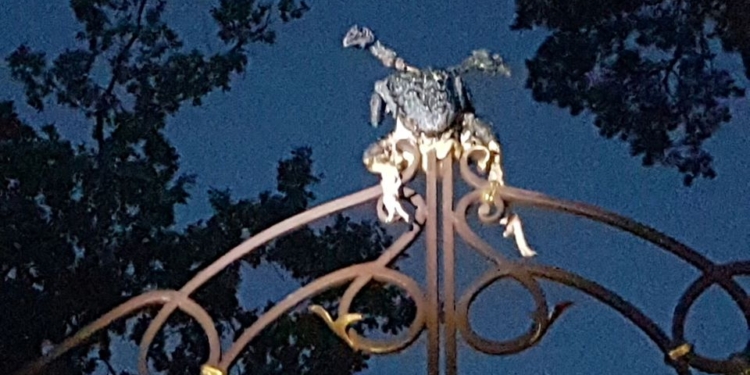 Активисты “Автомайдана” водрузили на ворота Медведчука двуглавую курицу