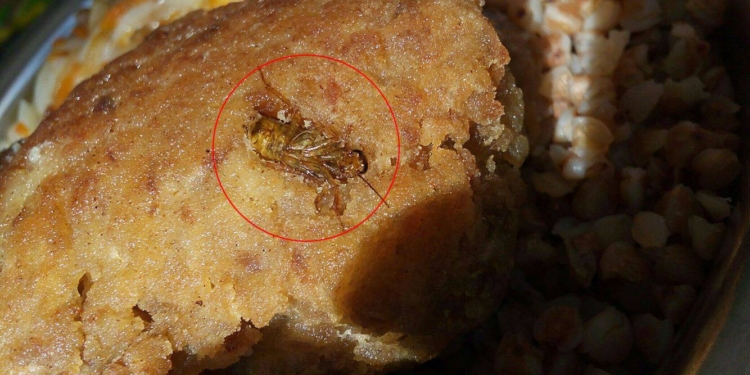 Тараканы в мясе, черви в каше. “Фоторепортаж” из столовых воионских частей в Николаеве