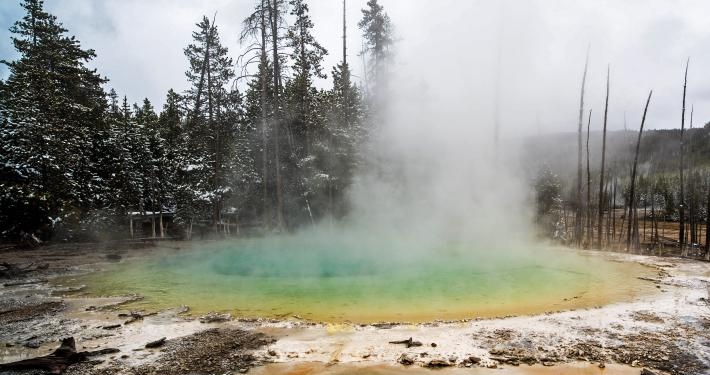Ученые обнаружили в Йеллоустоне “инопланетных” микробов