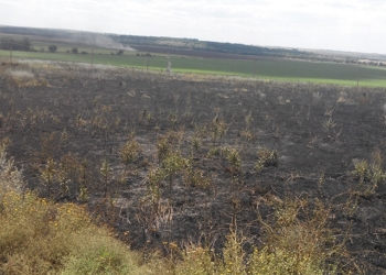На Николаевщине не прекращают гореть сухостои: за сутки сгорело более 5 га