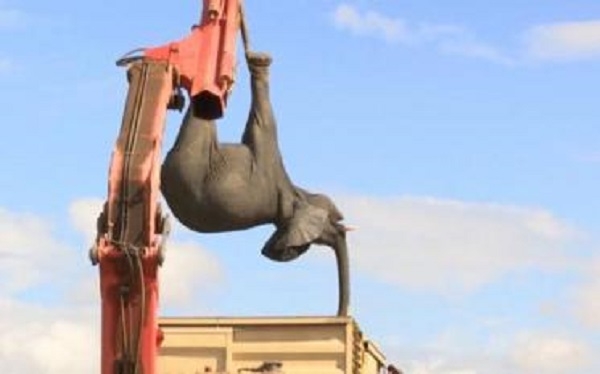 Великое переселение. Как перевозили 500 слонов!