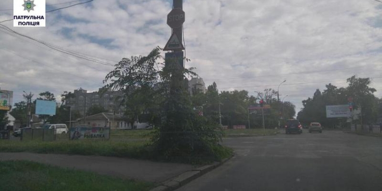 Патрульная полиция Николаева привлекла к ответственности ООО «Николаевское зеленое хозяйство» – за необрезку ветвей