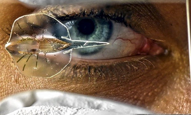 Ученые сделали ската-киборга из клеток крысиного сердца