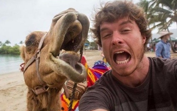 Селфи с животными? Для этого нужен особый талант. У ирландского художника он точно есть. Море позитива