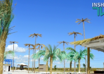 «Sea Freedom Fest»: На Николаевщине пройдет уникальный фестиваль с участием  103 ди-джев Европы и Украины