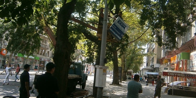 Николаев избавляется от незаконной рекламы