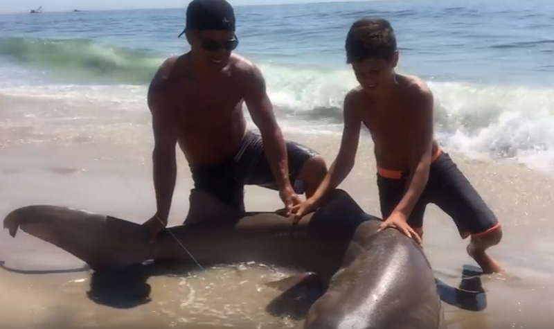 13-летний рыбак поймал на удочку 113-килограммовую акулу 1