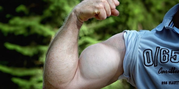 К утренней физзарядке: ученые доказали, что даже мысли о спорте укрепляют мышцы