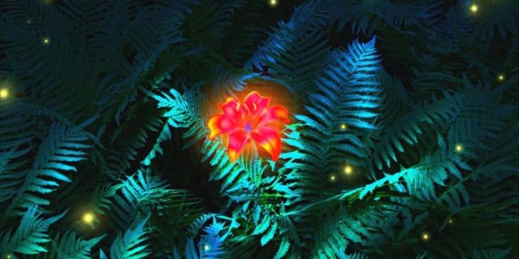 Сегодня – ночь на Ивана Купала. Вперед – за цветком папоротника