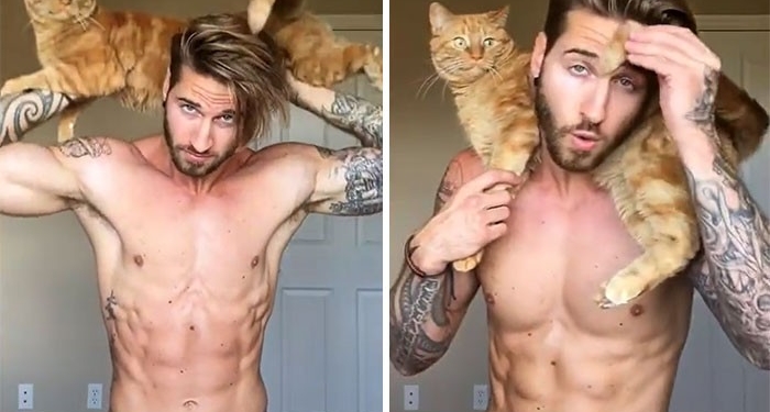 Кот вместо…гантели. А вам что мешает заняться спортом?