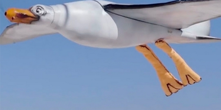 Рекламная чайка-робот от Nivea будет гадить на пляжников солнцезащитным кремом