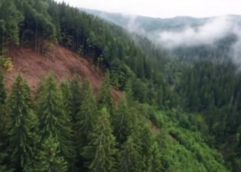 Карпаты с высоты птичьего полета