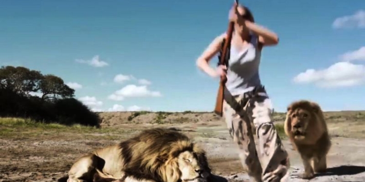 Пока охотники делали селфи с убитым львом, их атаковал другой лев