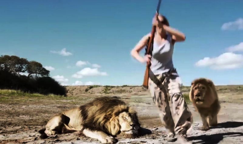 Пока охотники делали селфи с убитым львом, их атаковал другой лев 1