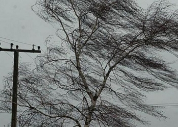 На Западной Украине непогода обесточила почти 150 населенных пунктов