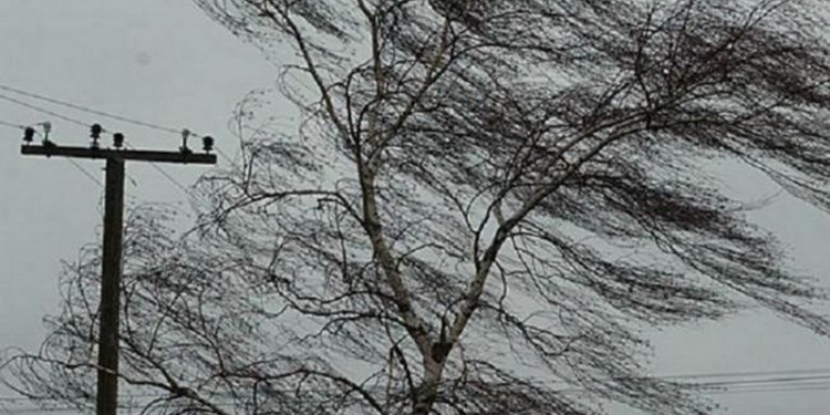 На Западной Украине непогода обесточила почти 150 населенных пунктов