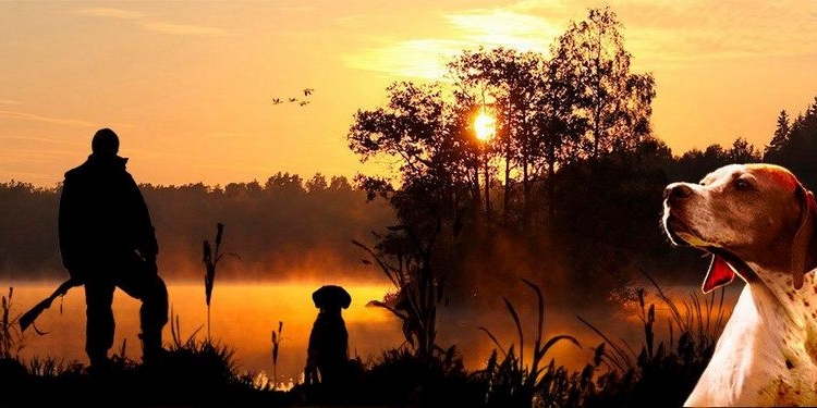 В Николаевской области охоту откроют 6 августа