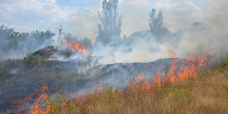 Николаевщина горит то тут, то там: 20 возгораний за сутки