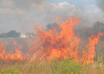 Николаевщина горит то тут, то там: 20 возгораний за сутки